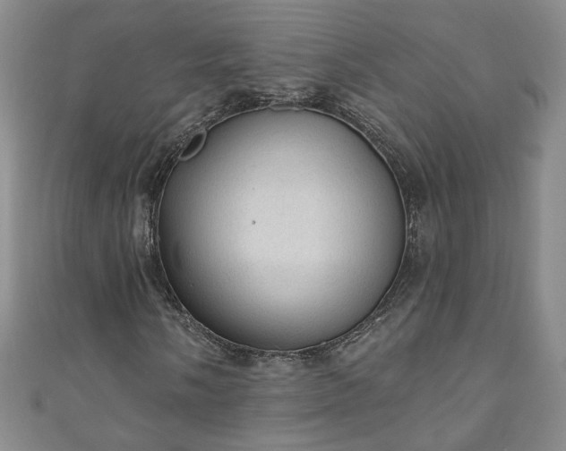 X0000110941058200906261256