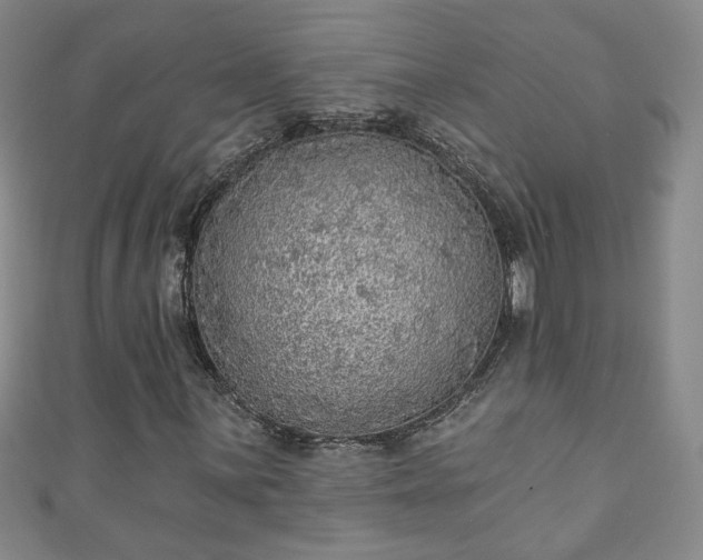 X0000110941059200906261256