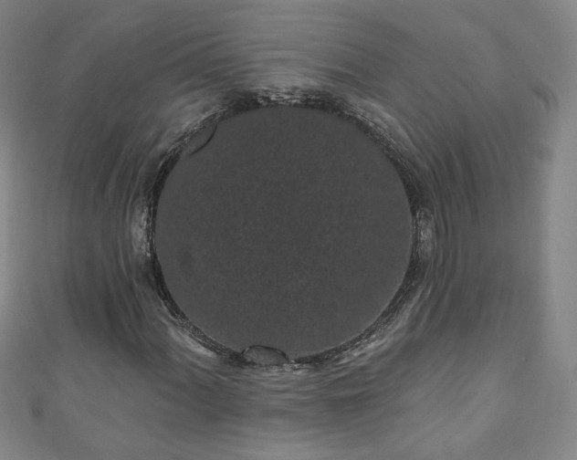 X0000110941060200906261256