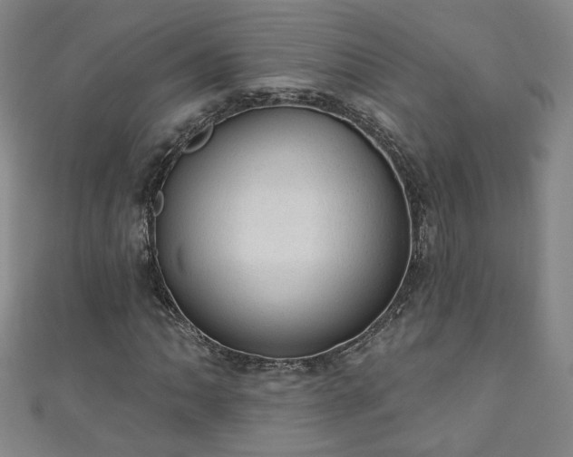 X0000110941062200906261256