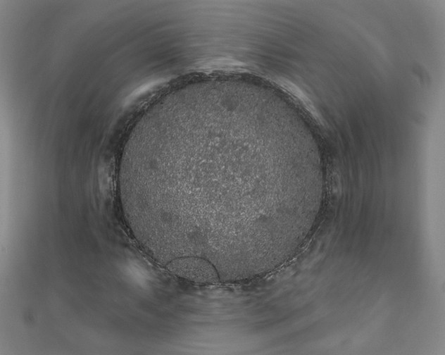 X0000110941063200906261256