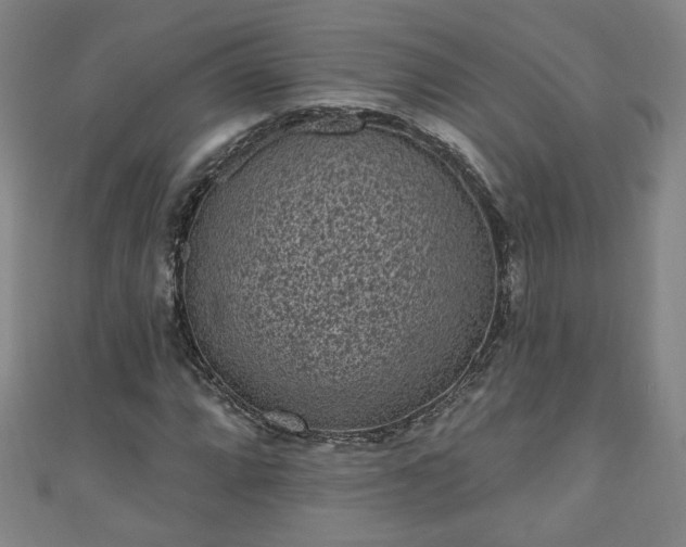 X0000110941064200906261256