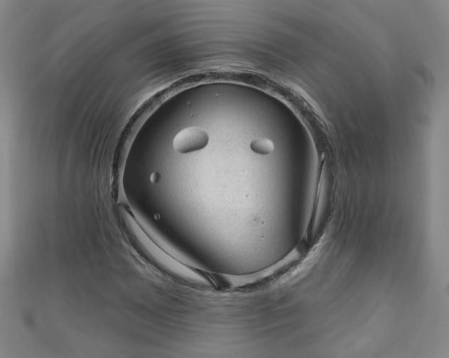 X0000110941065200906261256