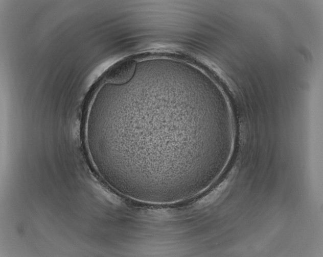 X0000110941066200906261256