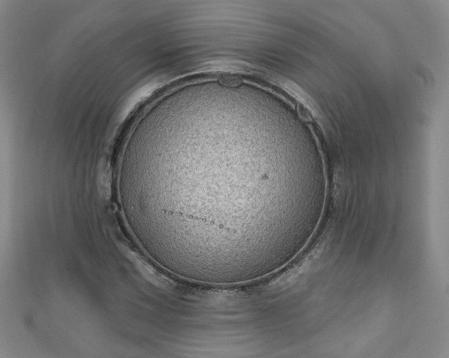 X0000110941067200906261256