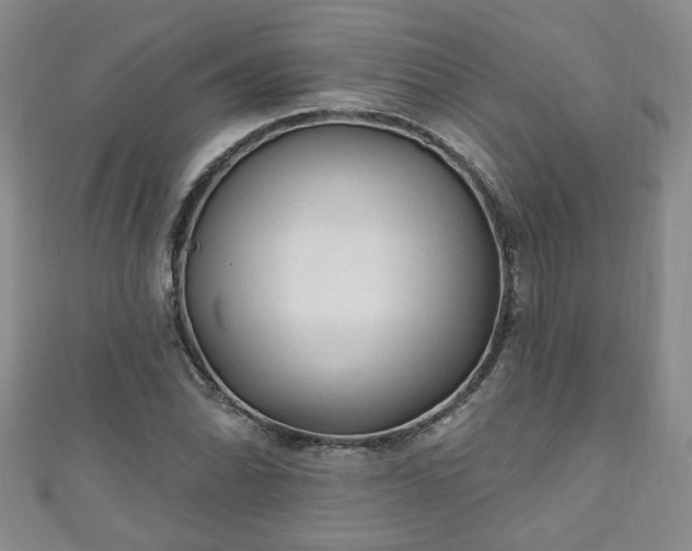 X0000110941070200906261256