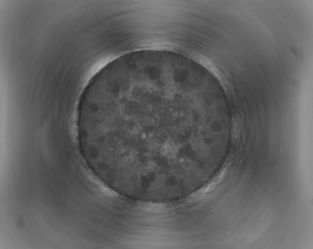 X0000110941071200906261256