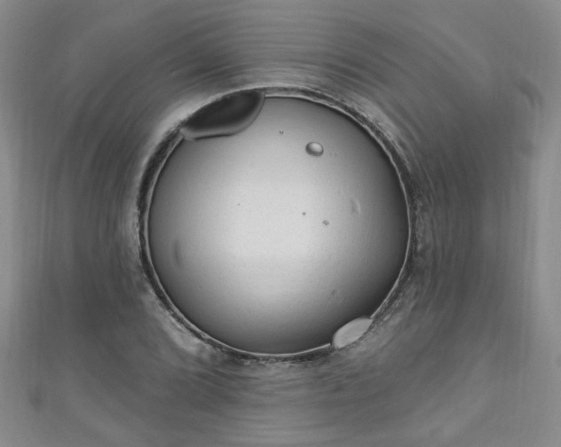 X0000110941072200906261256