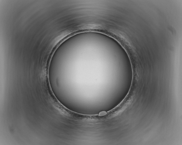 X0000110941073200906261256