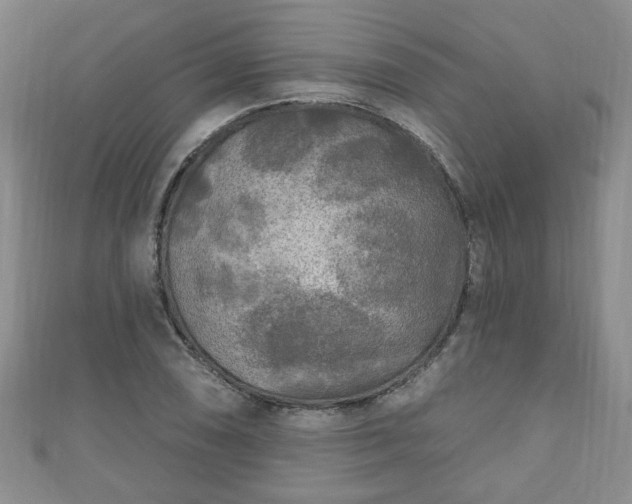 X0000110941074200906261256