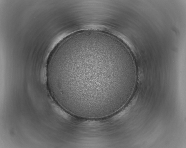 X0000110941075200906261256