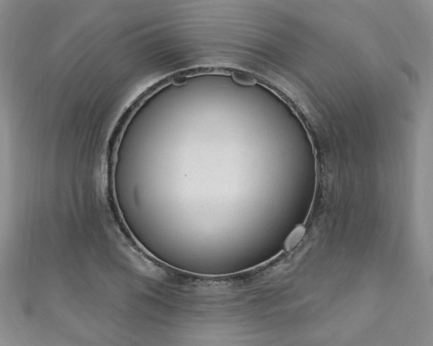 X0000110941076200906261256