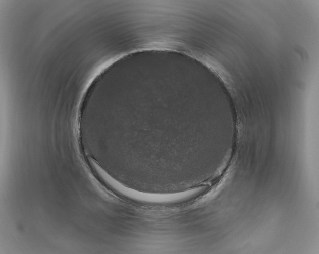 X0000110941077200906261256