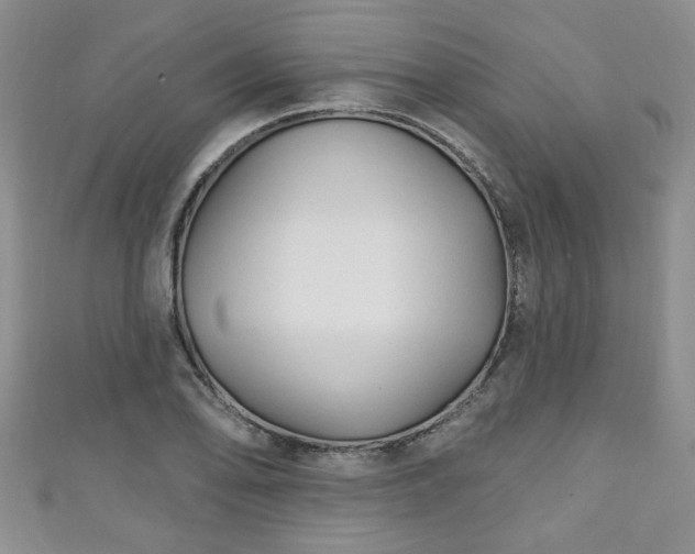 X0000110941078200906261256