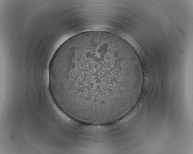 X0000110941079200906261256