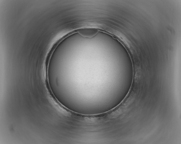 X0000110941080200906261256