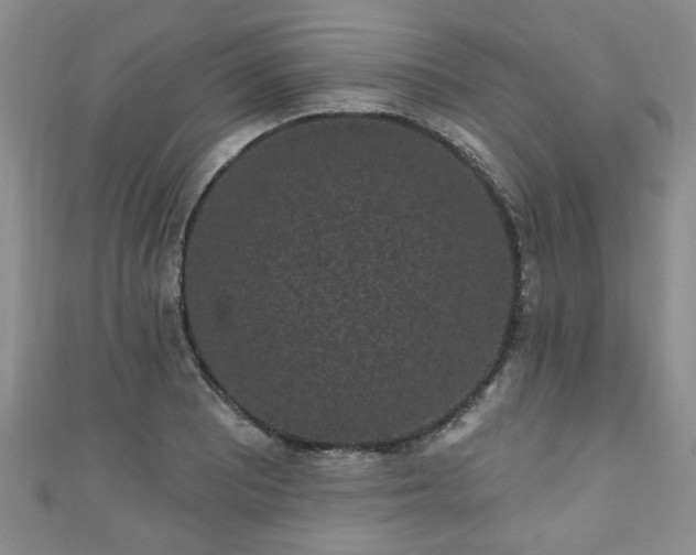 X0000110941081200906261255