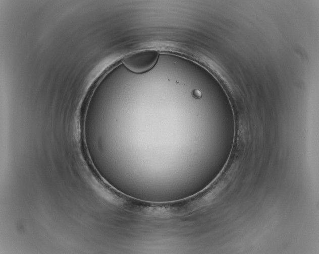 X0000110941082200906261255