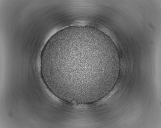 X0000110941083200906261255