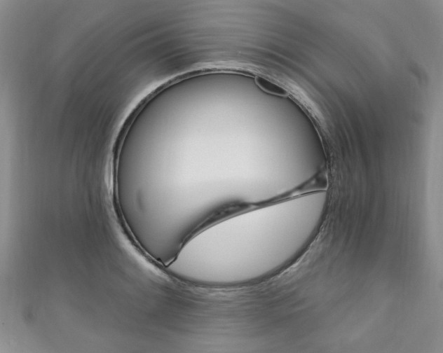 X0000110941084200906261255