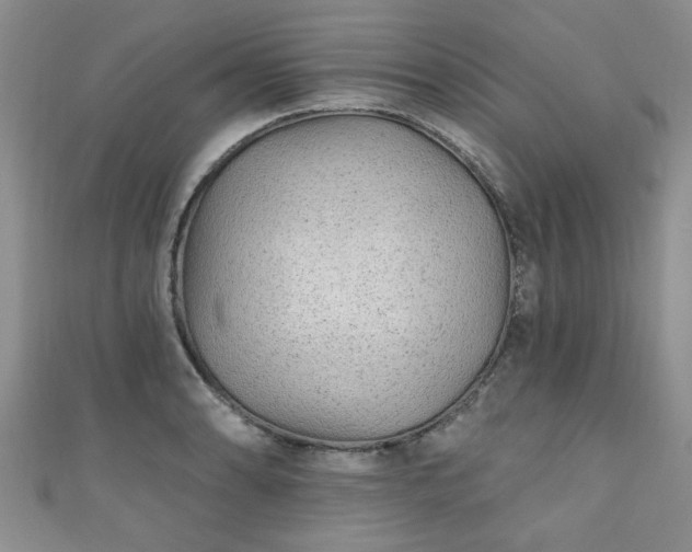 X0000110941086200906261255