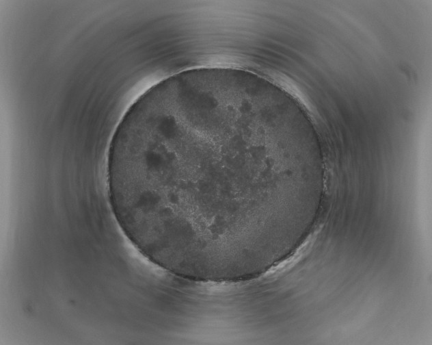 X0000110941087200906261255