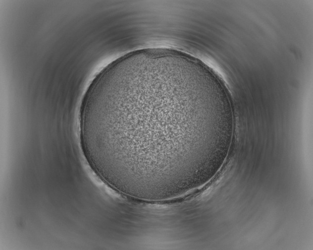 X0000110941088200906261255