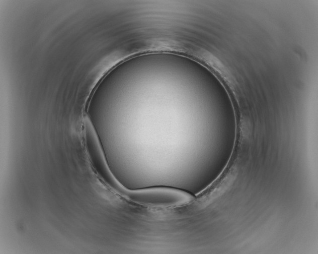 X0000110941089200906261255