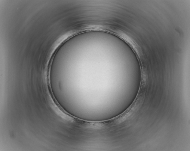 X0000110941090200906261255