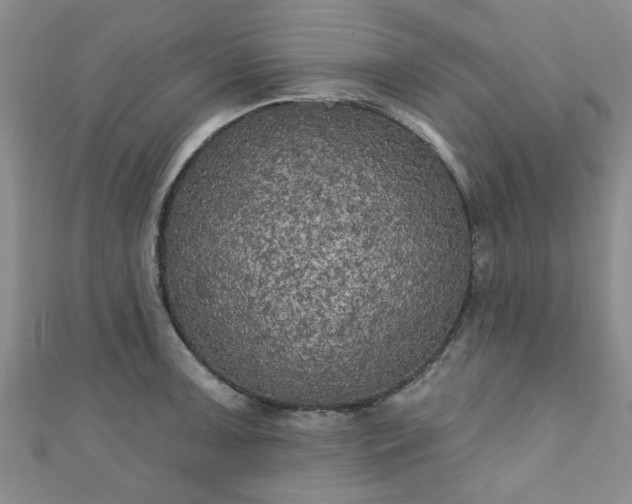 X0000110941091200906261255