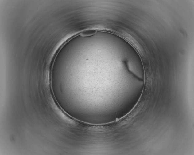 X0000110941092200906261255