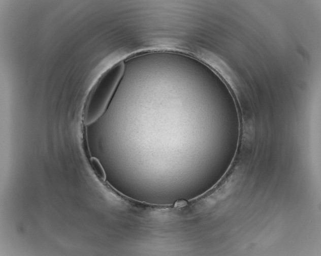 X0000110941093200906261255