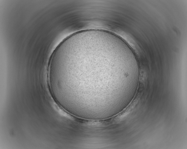 X0000110941094200906261255