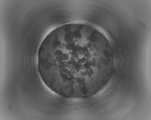 X0000110941095200906261255