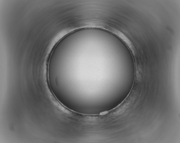 X0000110941096200906261255