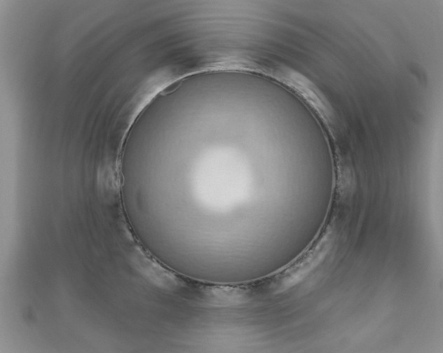 X0000110941097200906261255