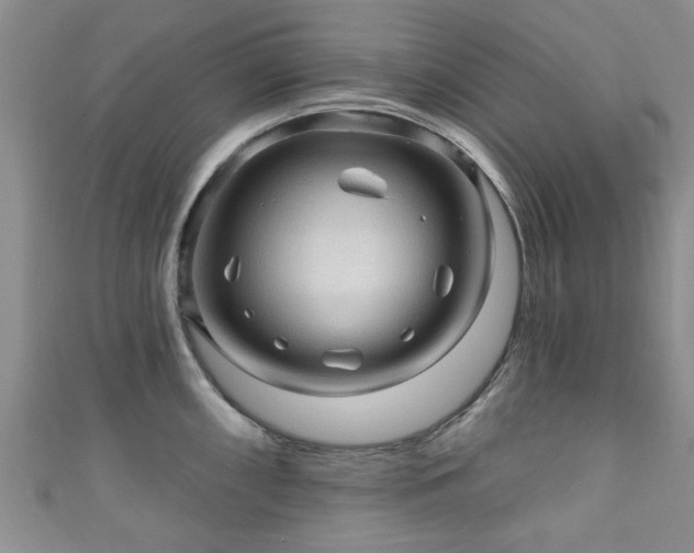 X0000110941098200906261255