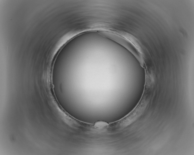 X0000110941101200906261255