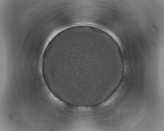 X0000110941102200906261255