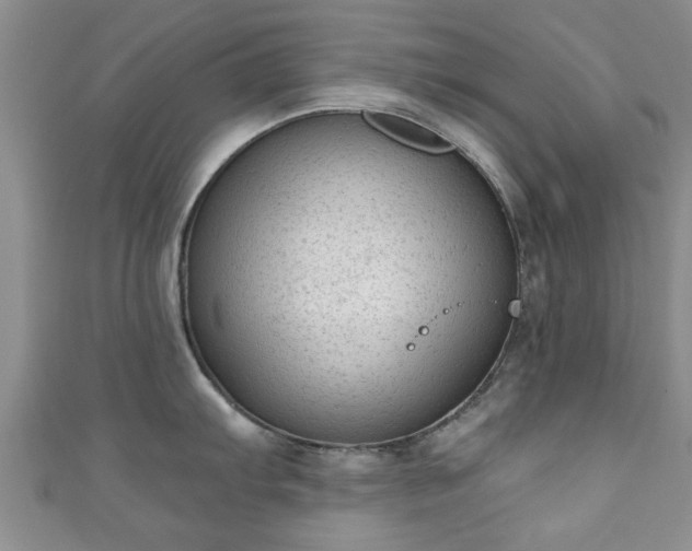 X0000110941103200906261255