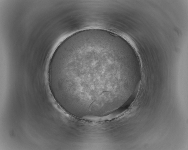 X0000110941104200906261255