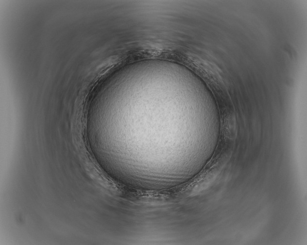 X0000110941105200906261255