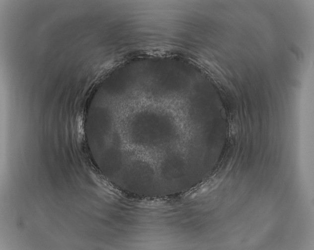 X0000110941106200906261255