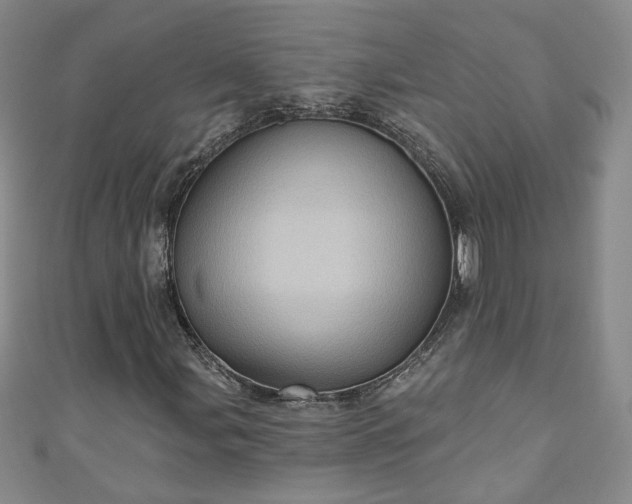 X0000110941107200906261255