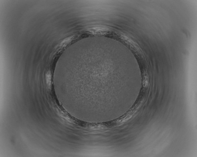 X0000110941108200906261255