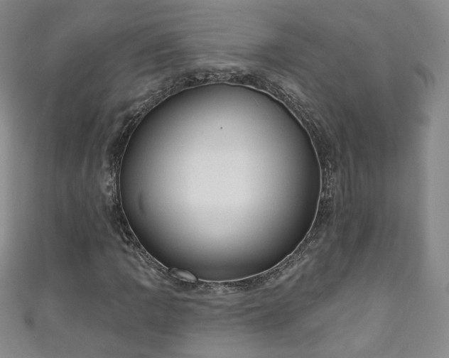 X0000110941109200906261255