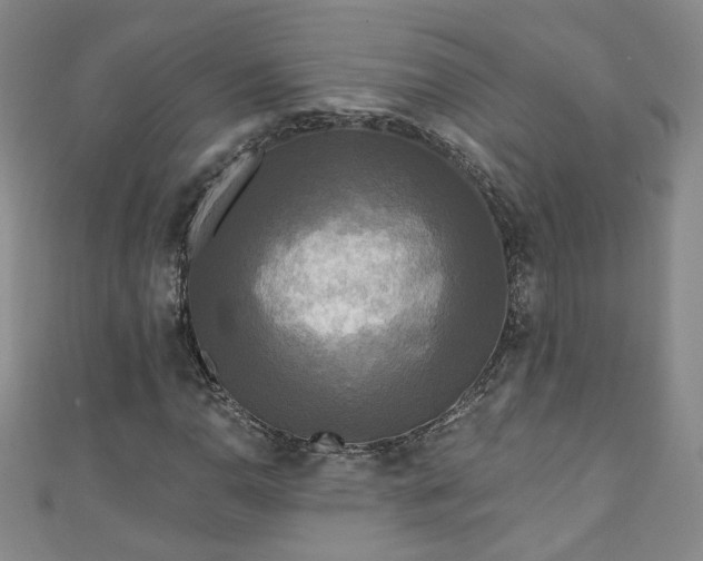 X0000110941110200906261255