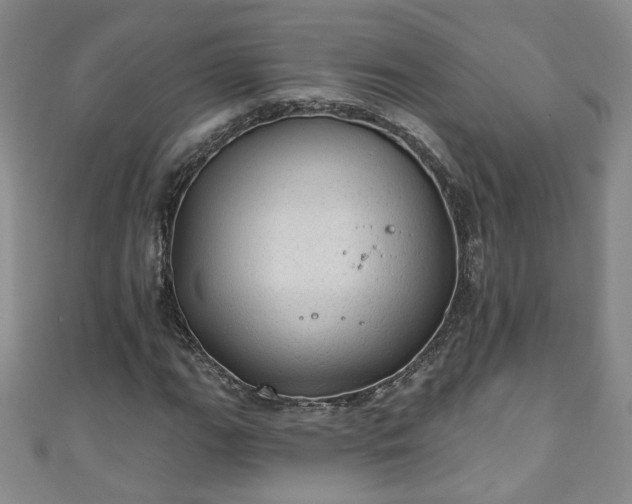 X0000110941111200906261255