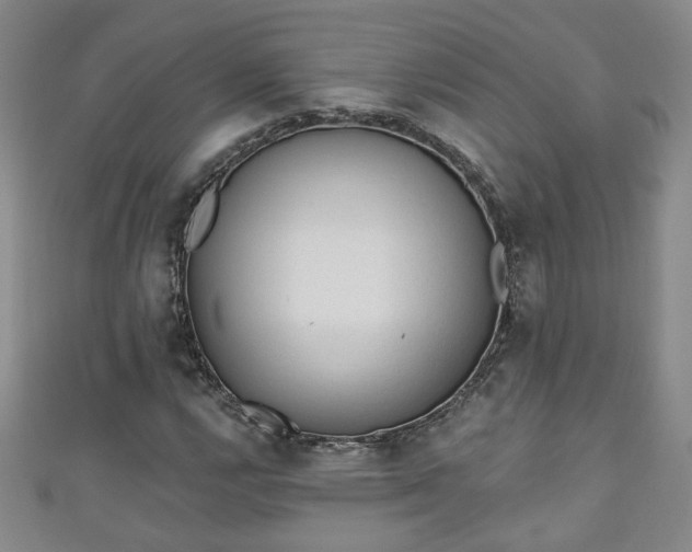 X0000110941112200906261255