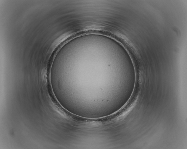 X0000110941113200906261255